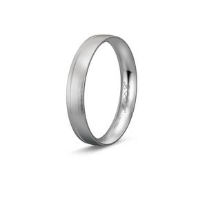 Ring 1
